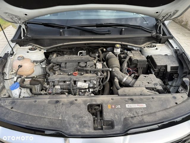 Kia Sportage 1.6 T-GDI MHEV Business Line 2WD DCT - 23