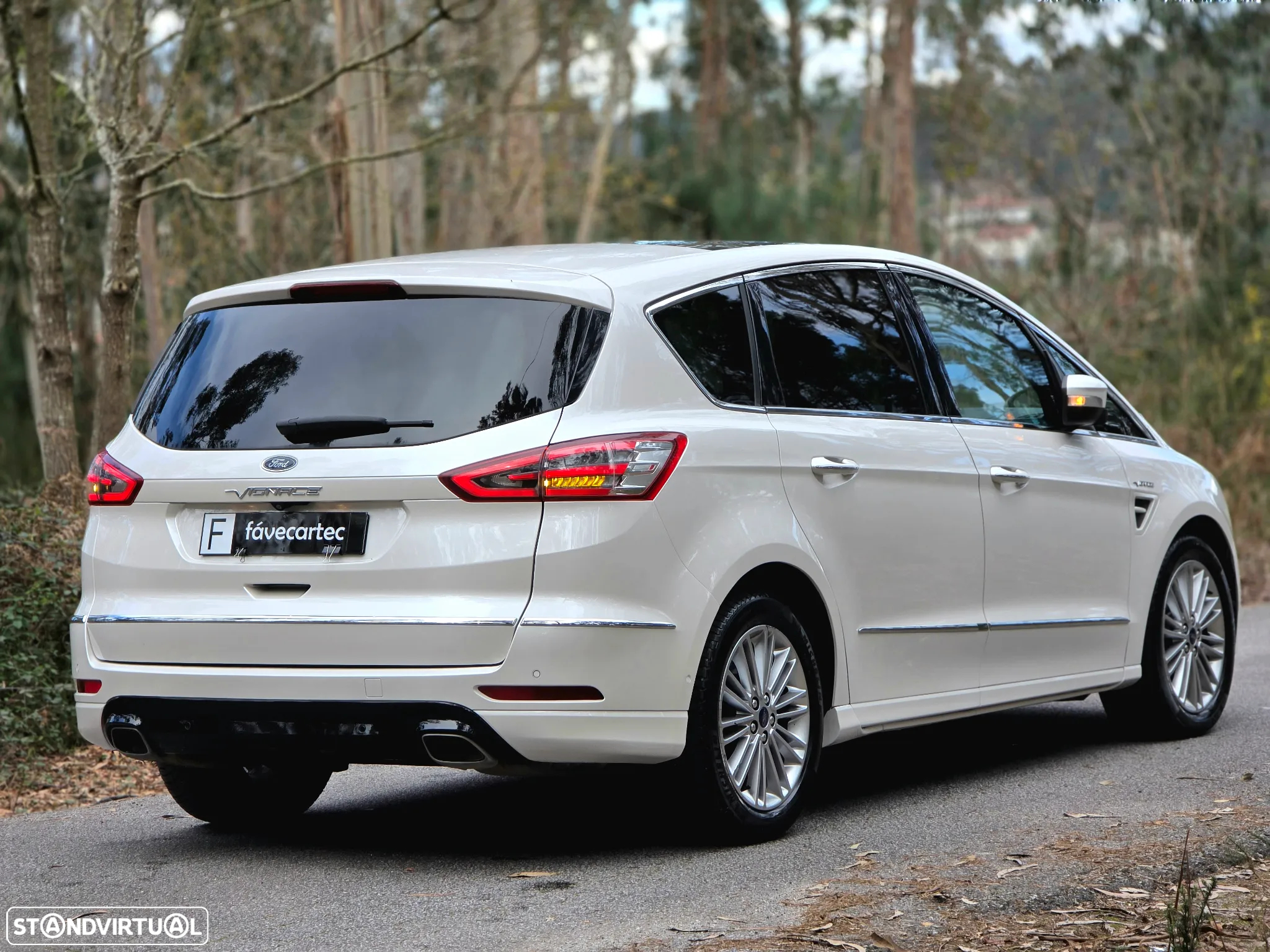 Ford S-Max 2.0 TDCi Vignale Powershift - 7