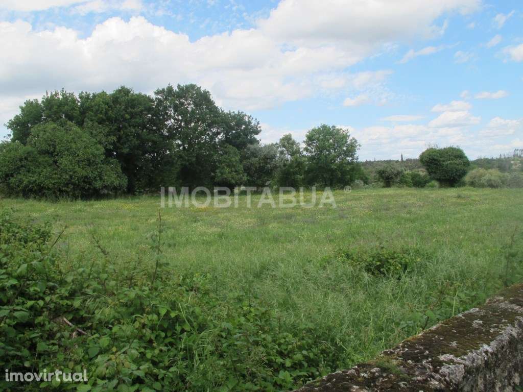 Terreno para Construção em Ázere, Tábua - Grande imagem: 2/4