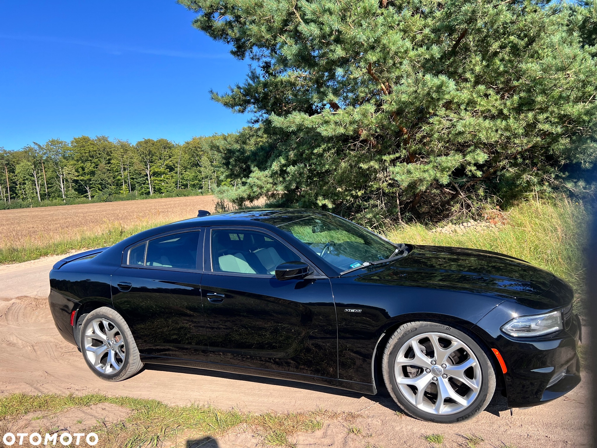 Dodge Charger - 5