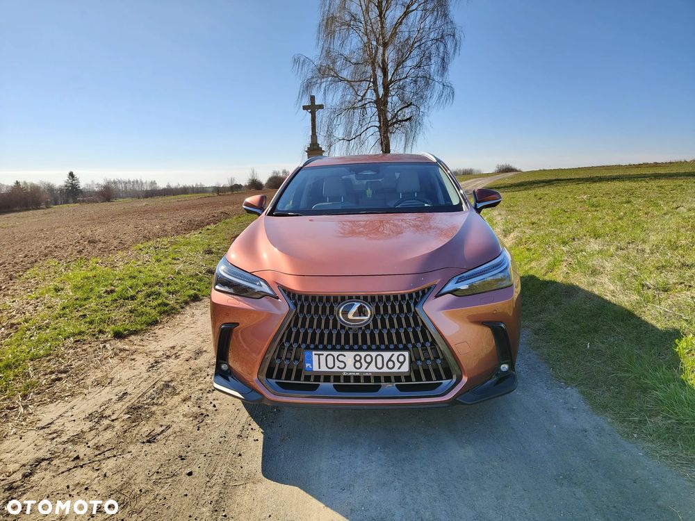 Lexus NX - 2