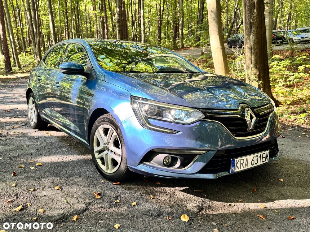 Renault Megane - 28