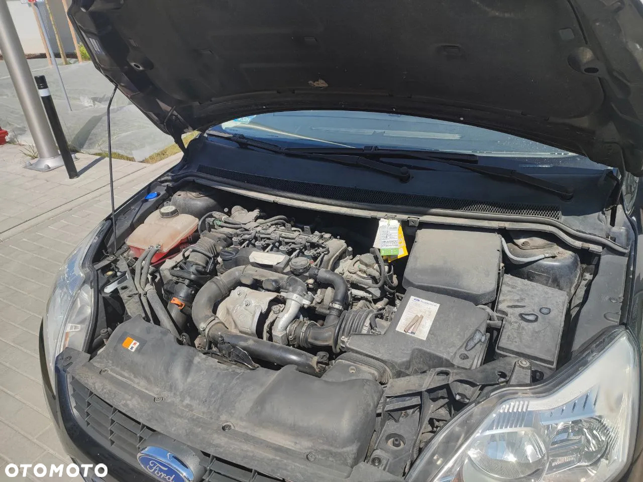 Ford Focus 1.6 TDCi cDPF Trend - 15