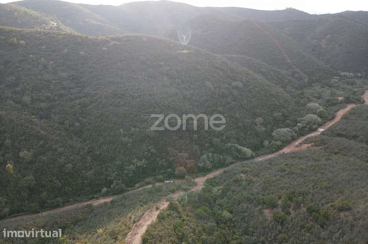 Terreno Rústico em Barranco do Talurdo com 183.520m2 - Grande imagem: 2/15