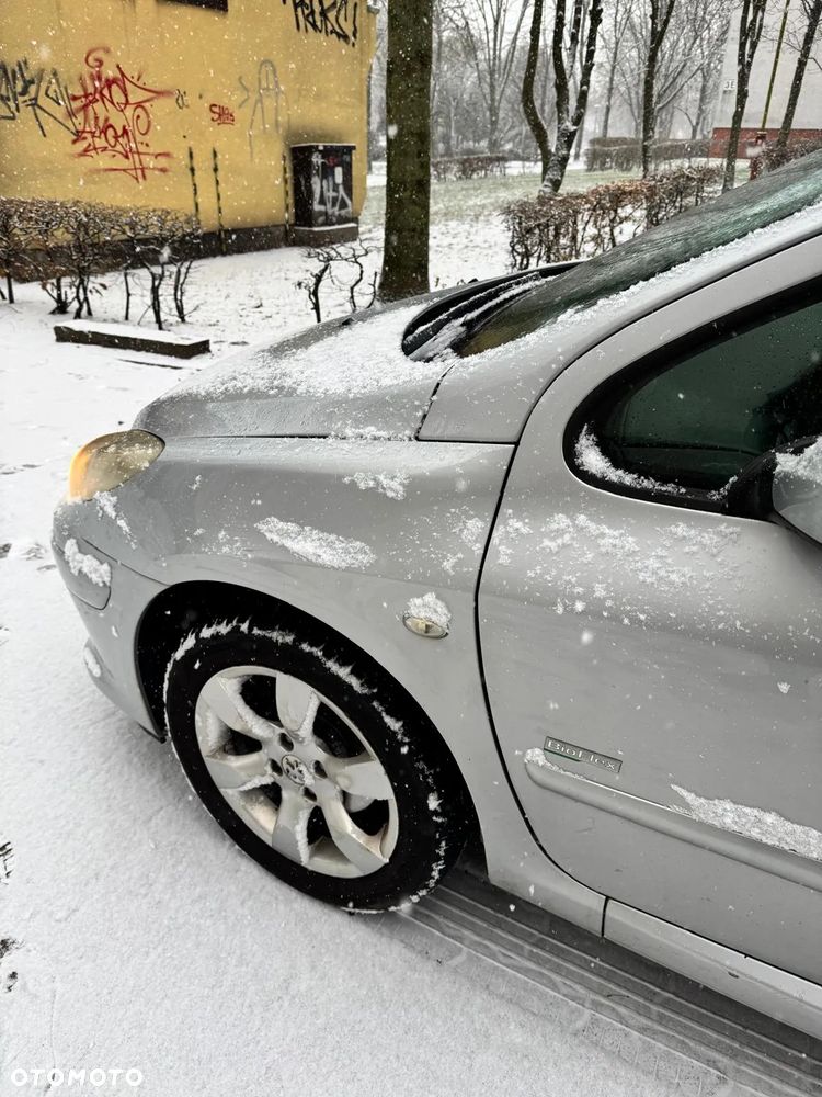 Peugeot 307 - 17