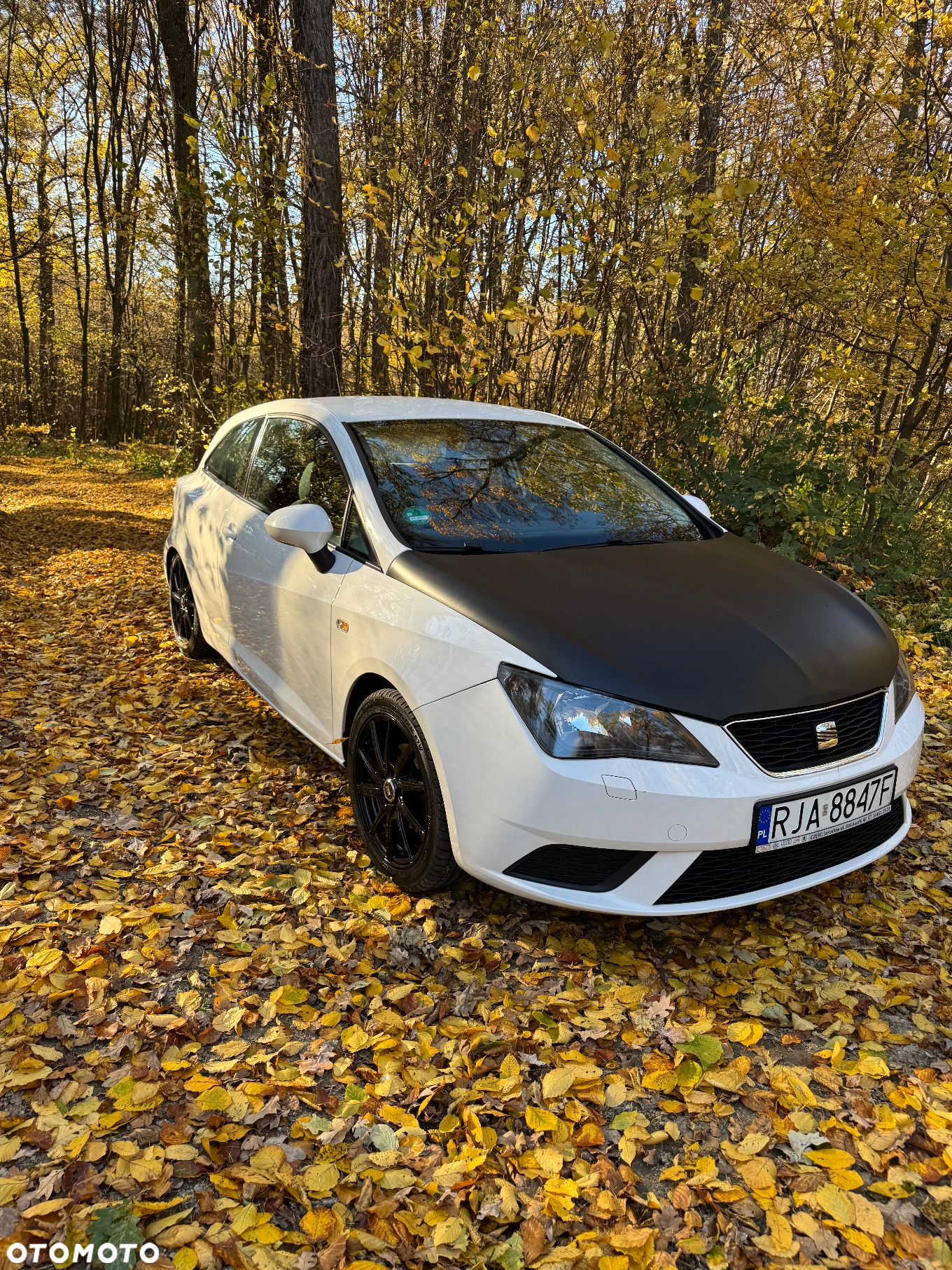 Seat Ibiza - 5