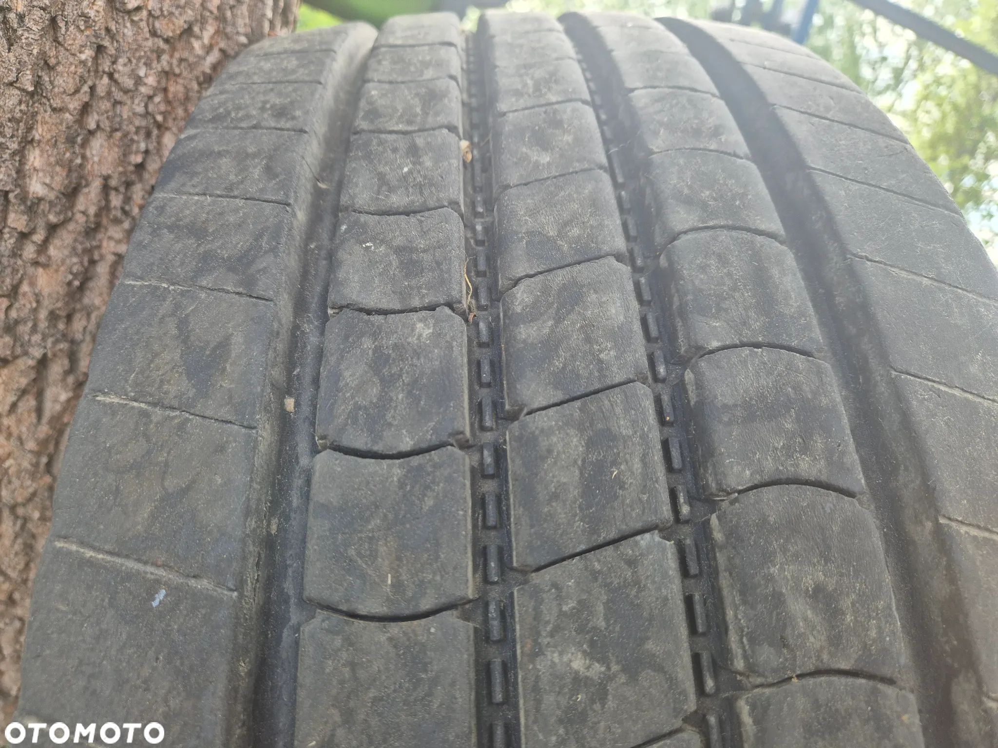 FALKEN RI151 - 1