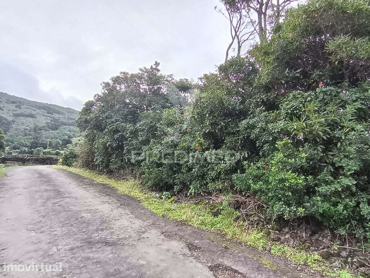 Terreno Agrícola, para venda, na Prainha, São Roque do Pico - Grande imagem: 5/14