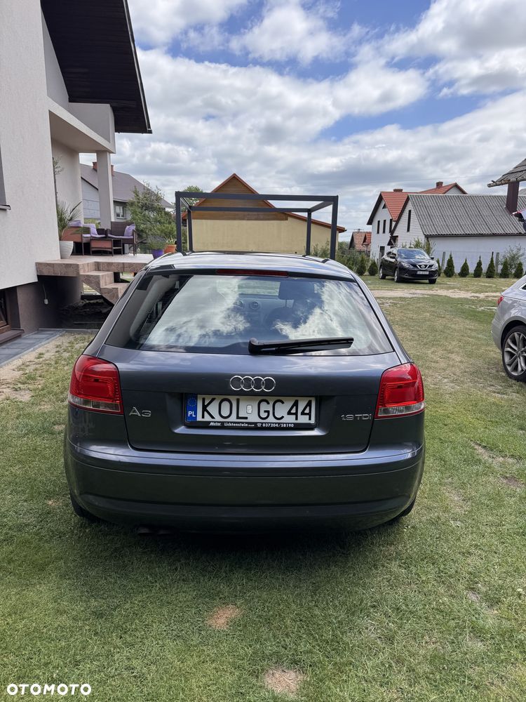 Audi A3 3-drzwiowe 1.9 TDI DPF Ambition - 6