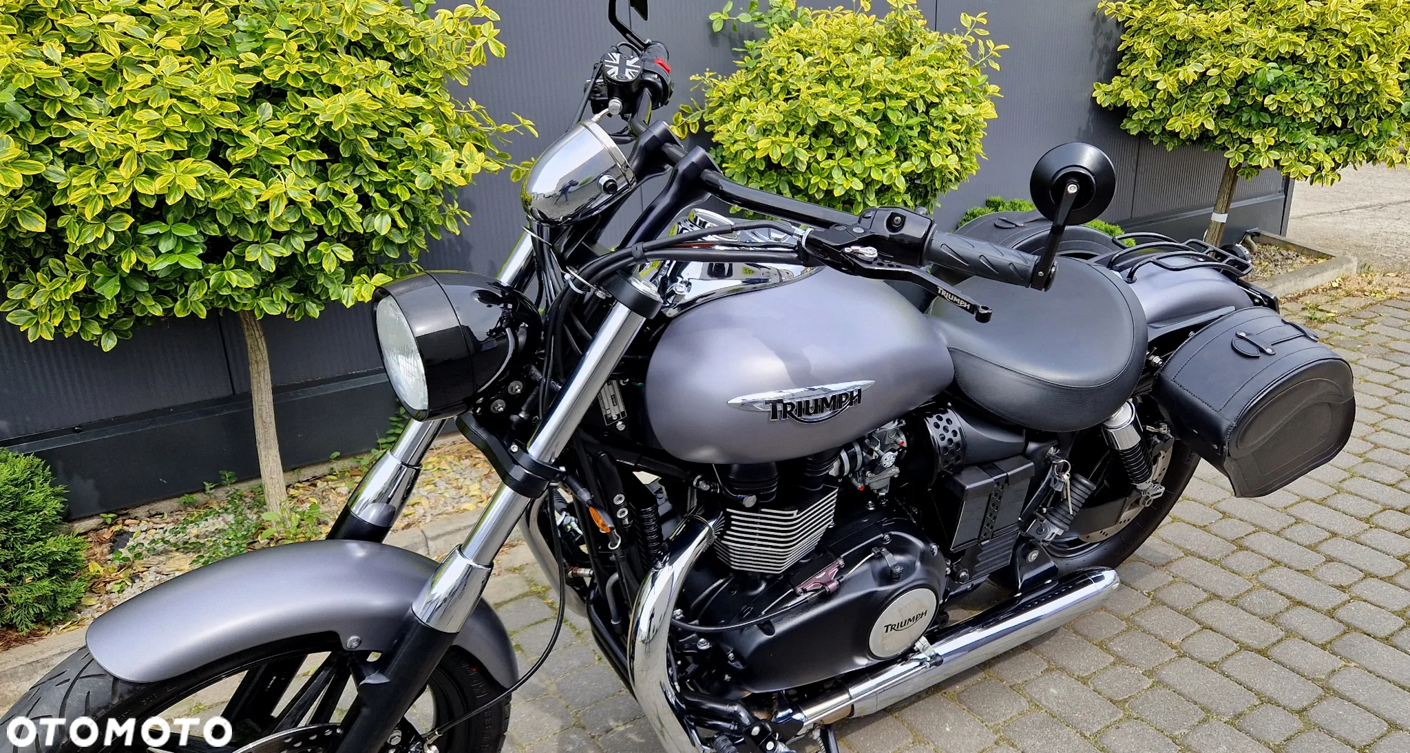 Triumph Speedmaster - 20