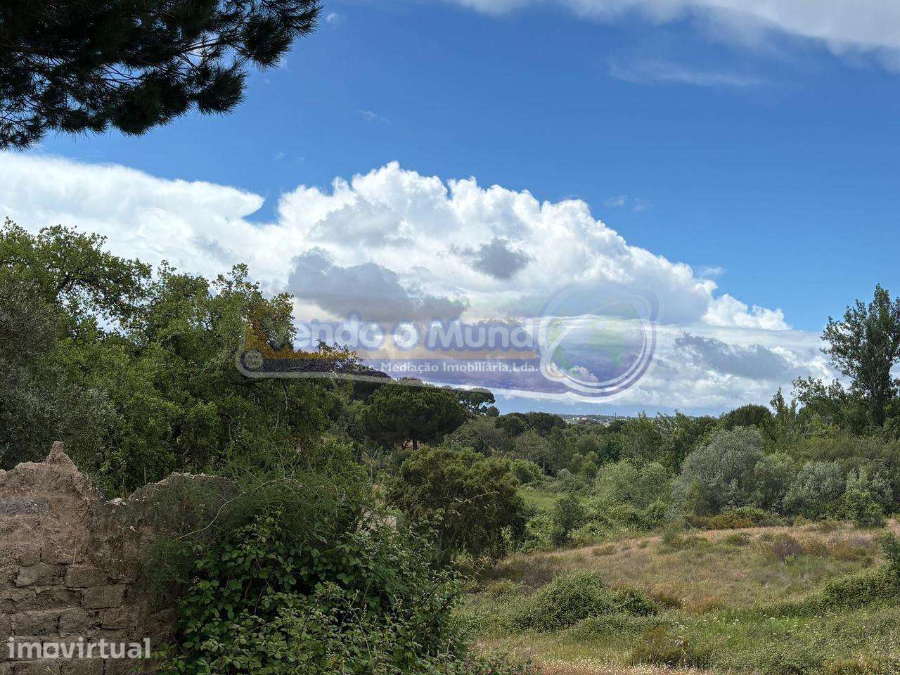 Terreno em Mora (MOR095) - Grande imagem: 5/13
