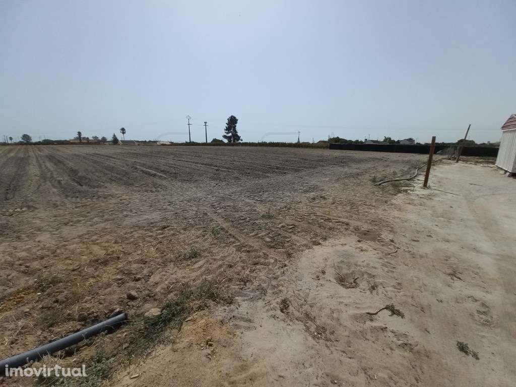 Terreno Rústico para arrendamento - Grande imagem: 2/17