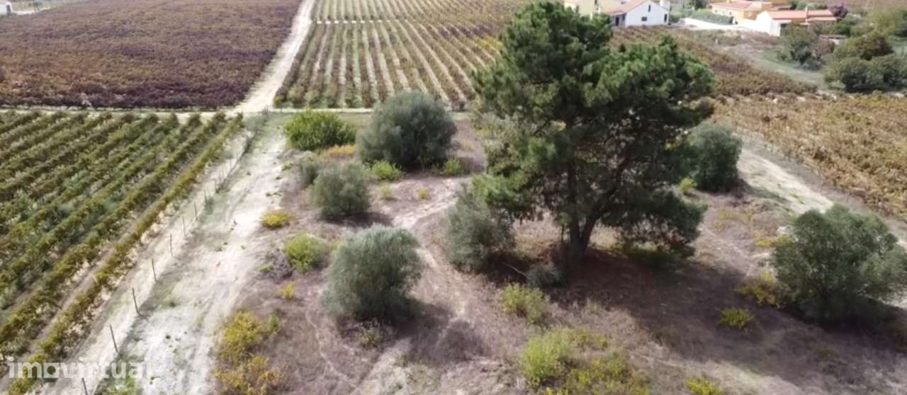 Quinta com 1,5 hectares em Lau, Palmela. - Grande imagem: 5/23