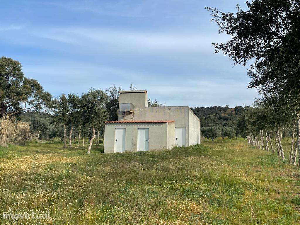 Quinta em São Bartolomeu do Outeiro - Grande imagem: 2/16