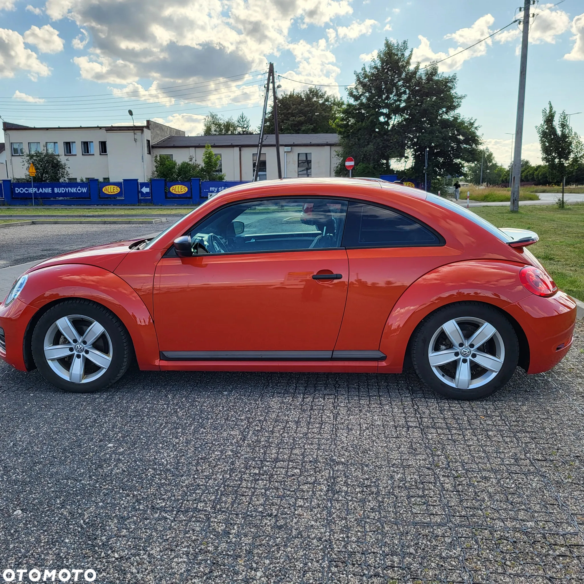 Volkswagen Beetle - 7