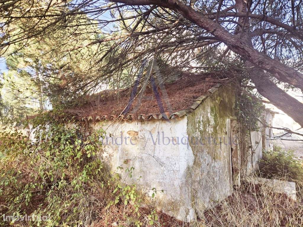 Excelente oportunidade de investimento ! - Grande imagem: 5/12