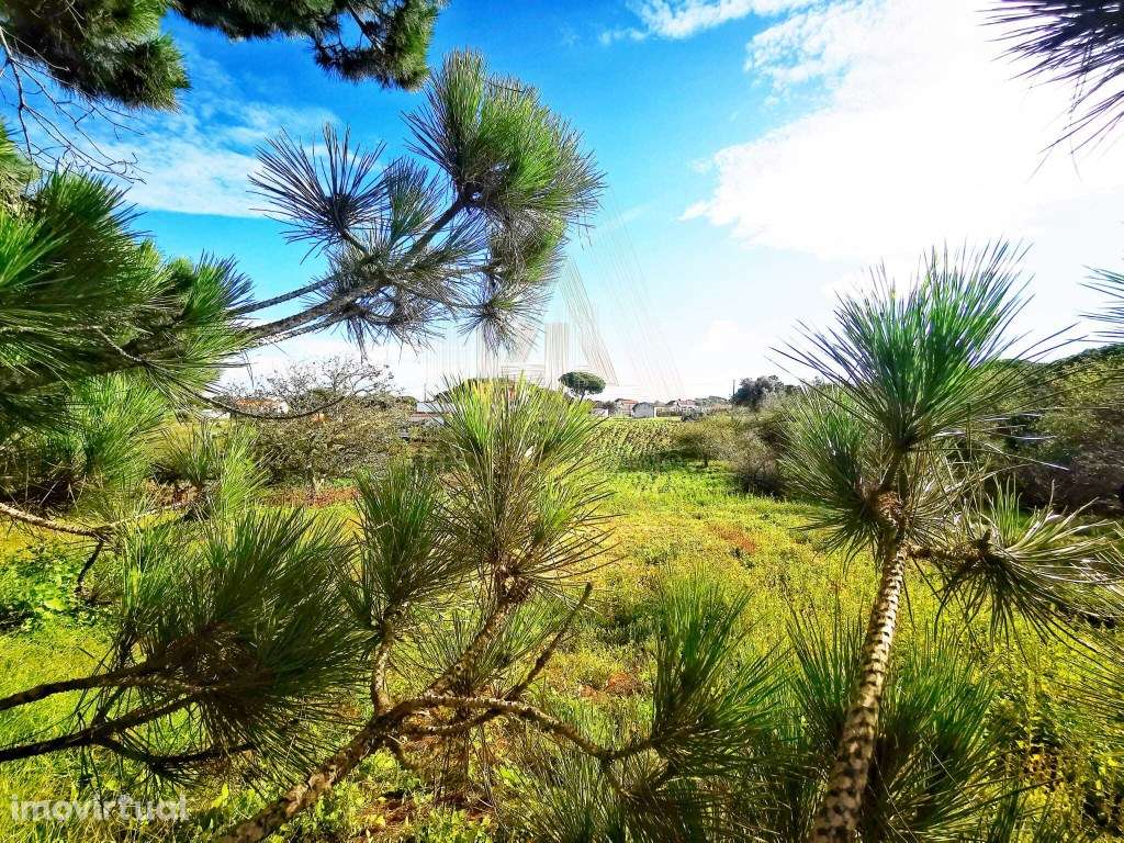 Oportunidade - Terreno em Aldeia do Meco - Grande imagem: 5/11
