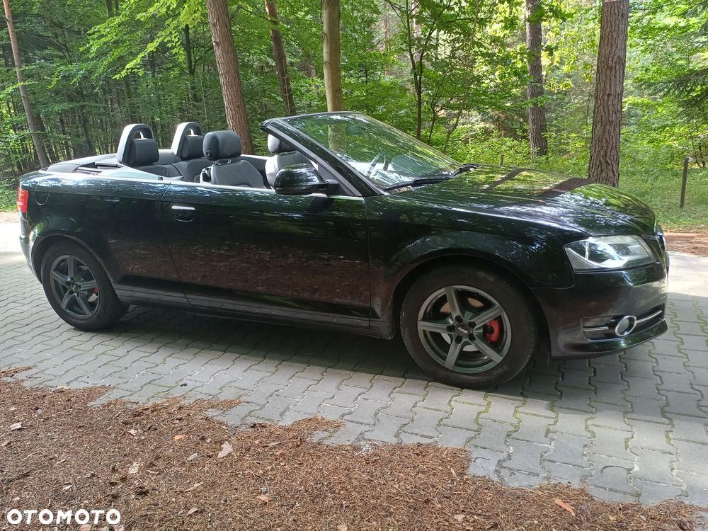 Audi A3 Cabrio 1.9 TDI DPF Ambition - 8