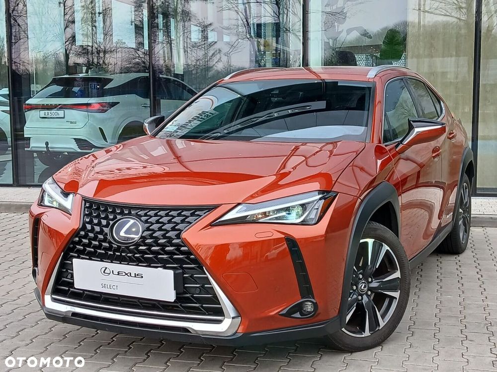 Lexus UX 250h GPF Business Edition 2WD - 10