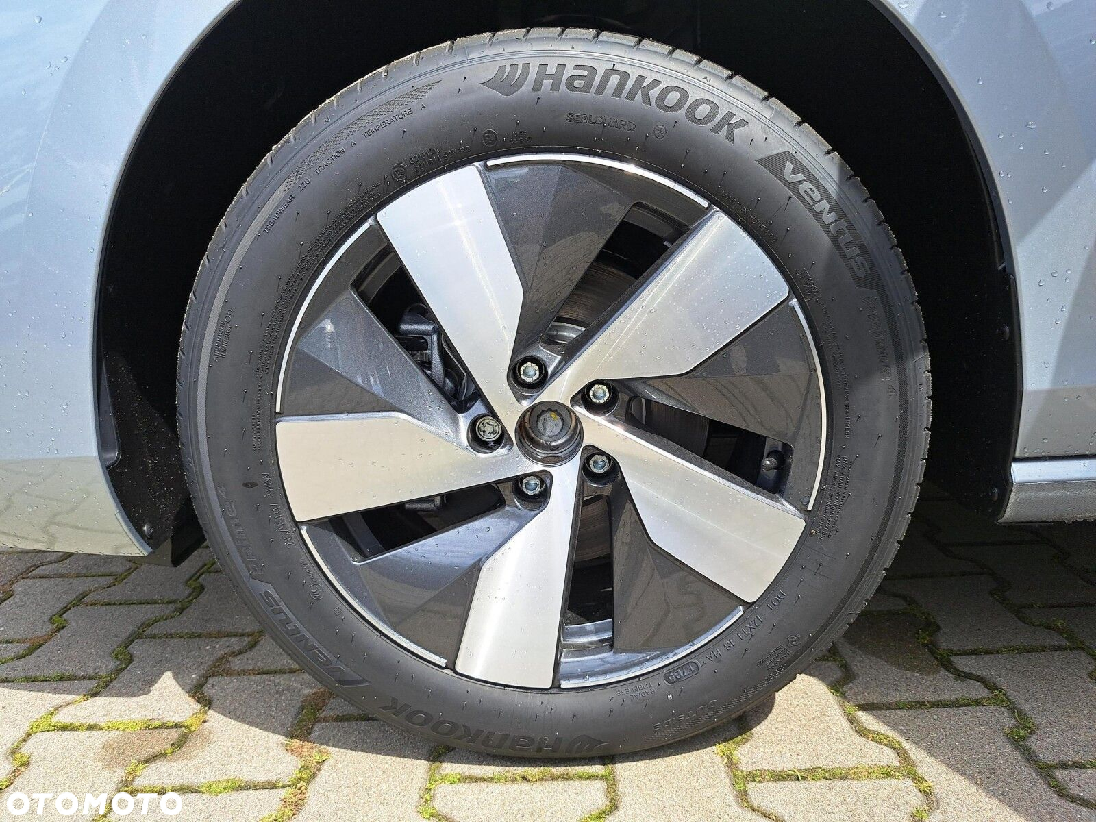 Volkswagen Passat - 18