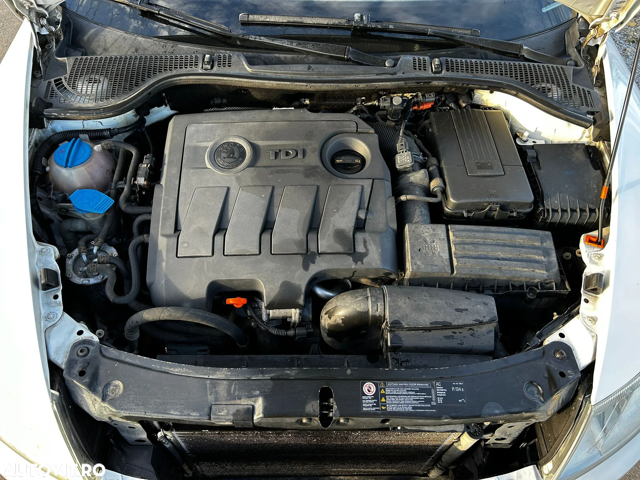 Skoda Octavia 1.6 TDI DPF GreenLine - 12
