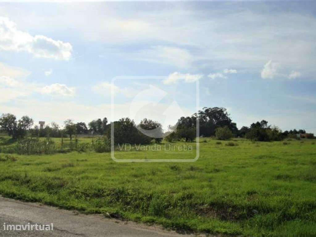 Terreno Misto com 59.880m2, Montijo próximo a A22 - IMÓVEL DA BANCA - Grande imagem: 3/14
