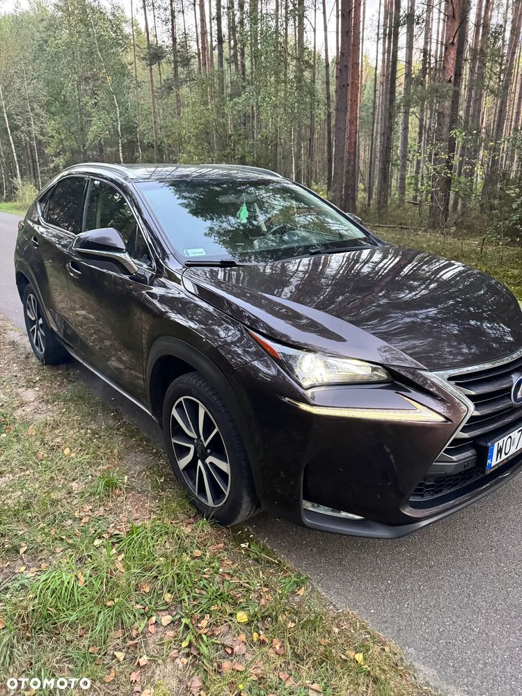 Lexus NX - 9