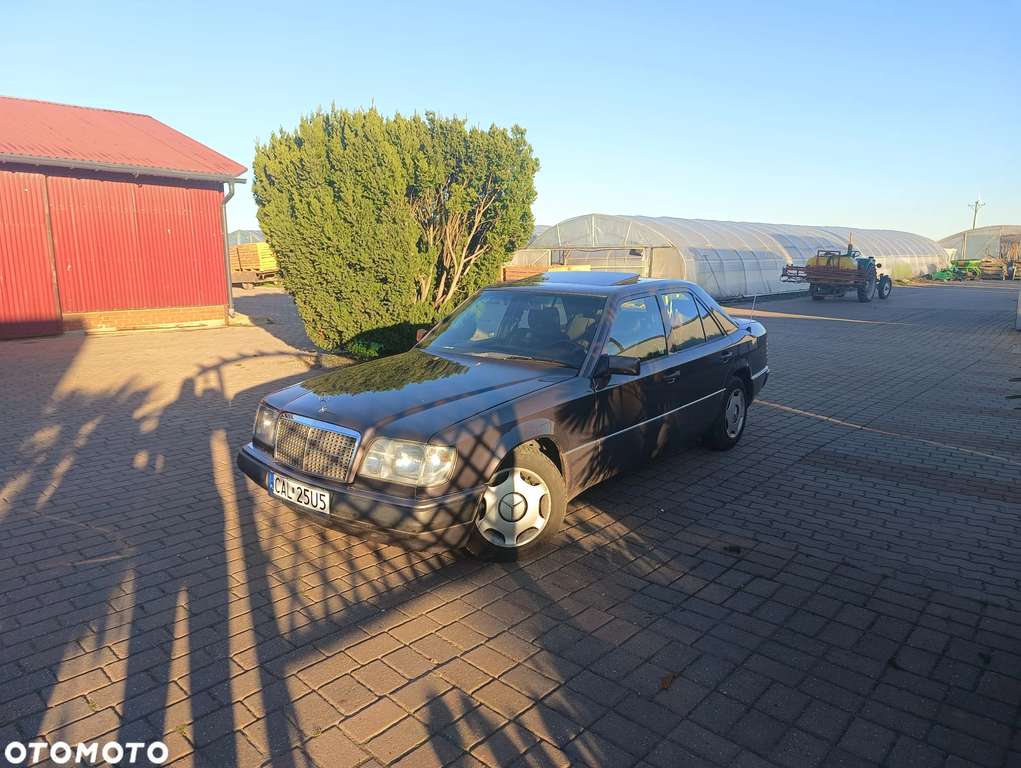 Mercedes-Benz W124 (1984-1993) - 2