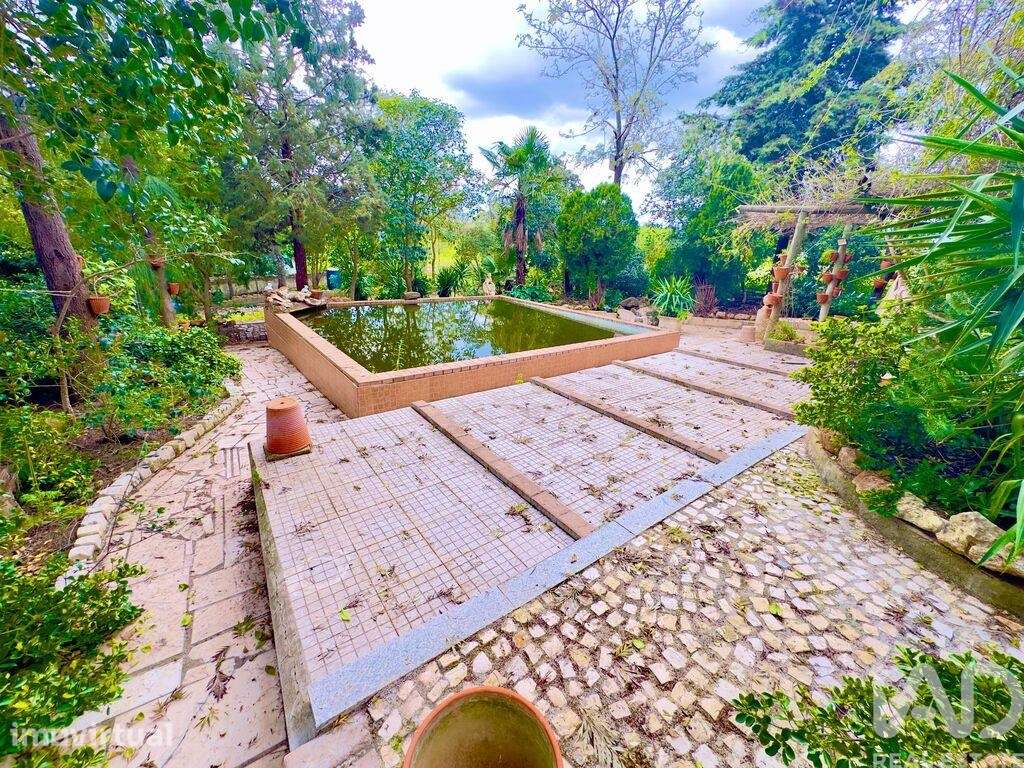 Terreno em Serpa - Grande imagem: 2/40