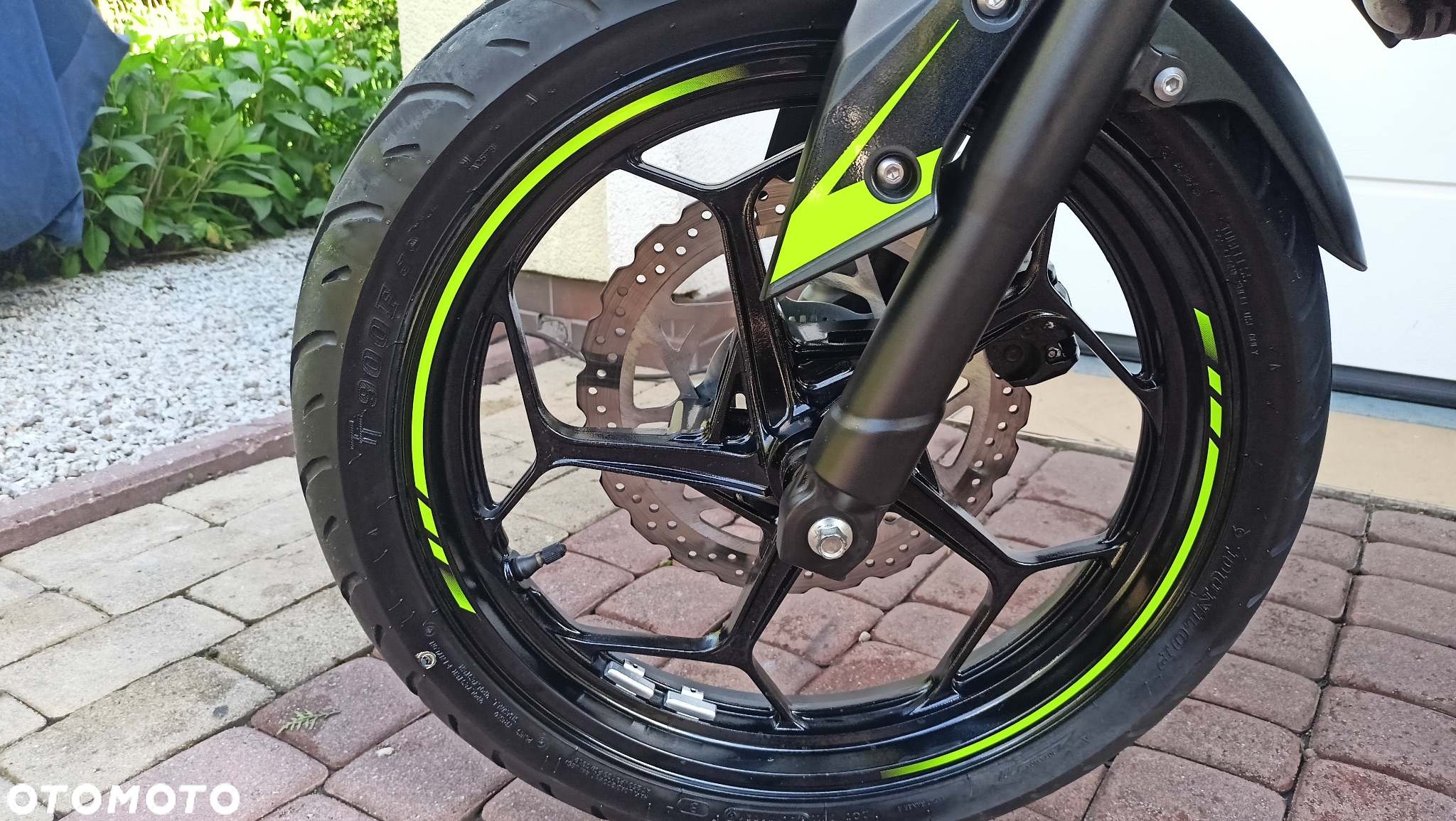 Kawasaki Z - 39