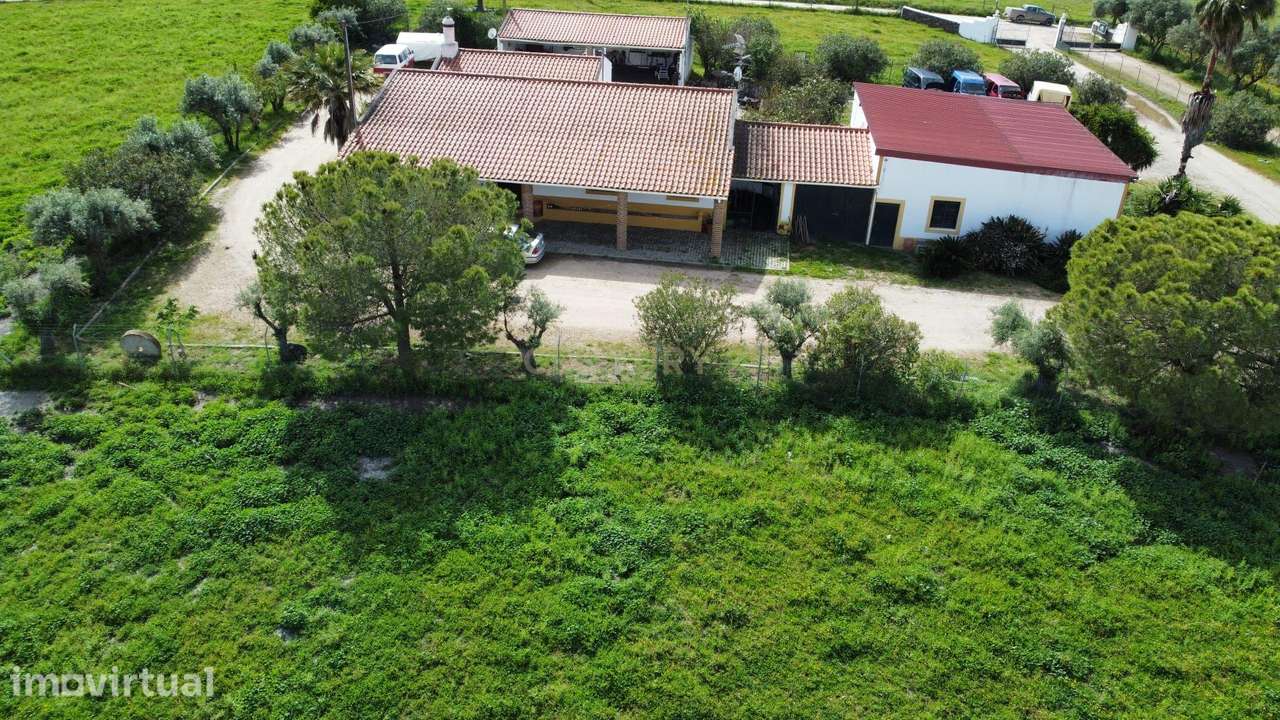 Monte Alentejano - Herdade das Lavradias, Mourão - Grande imagem: 2/15