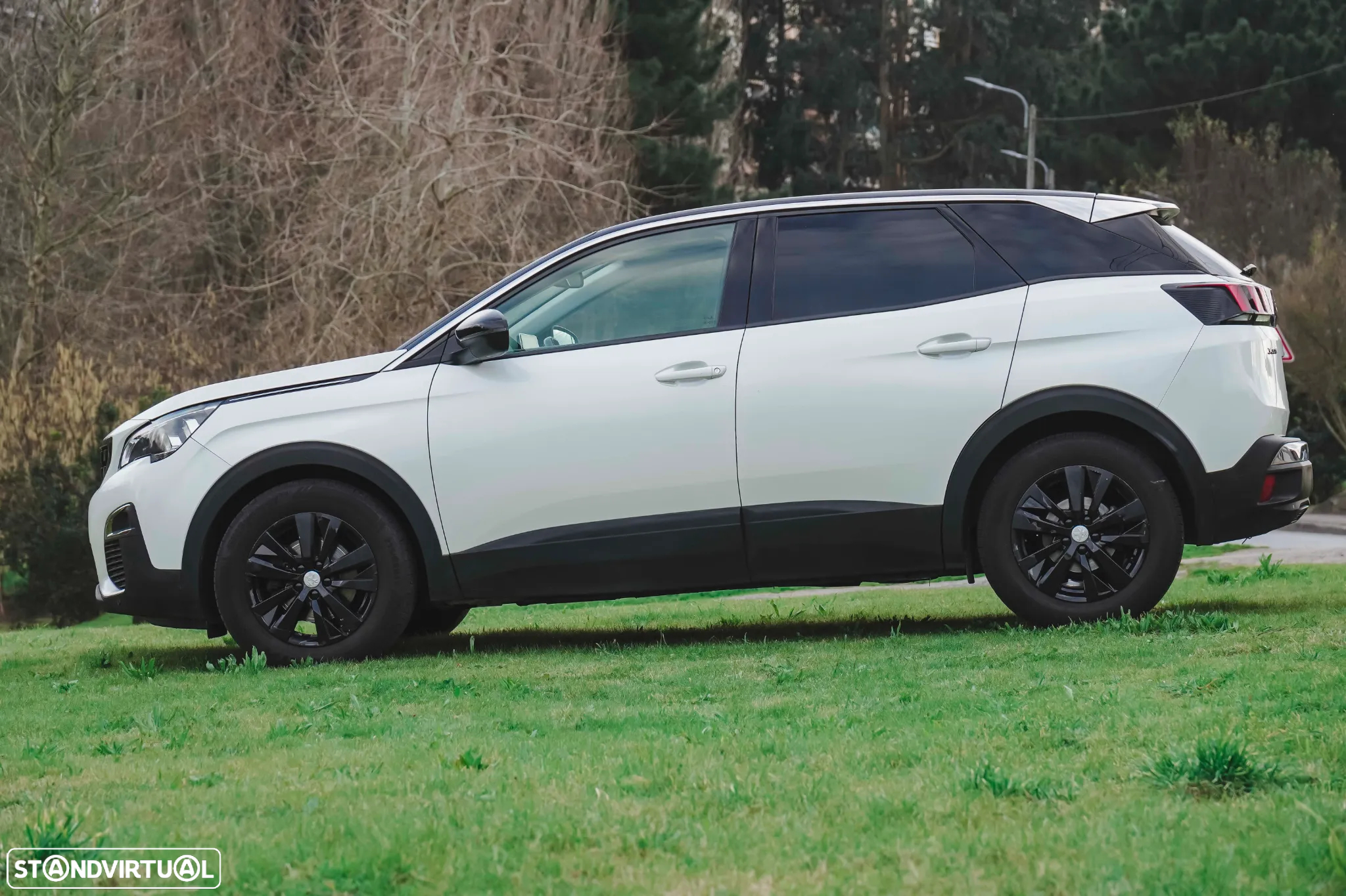 Peugeot 3008 - 23