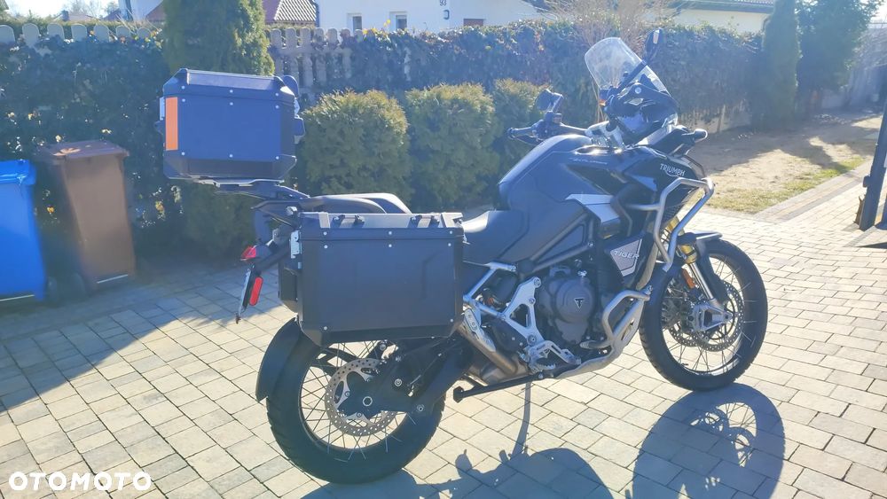 Triumph Tiger - 22
