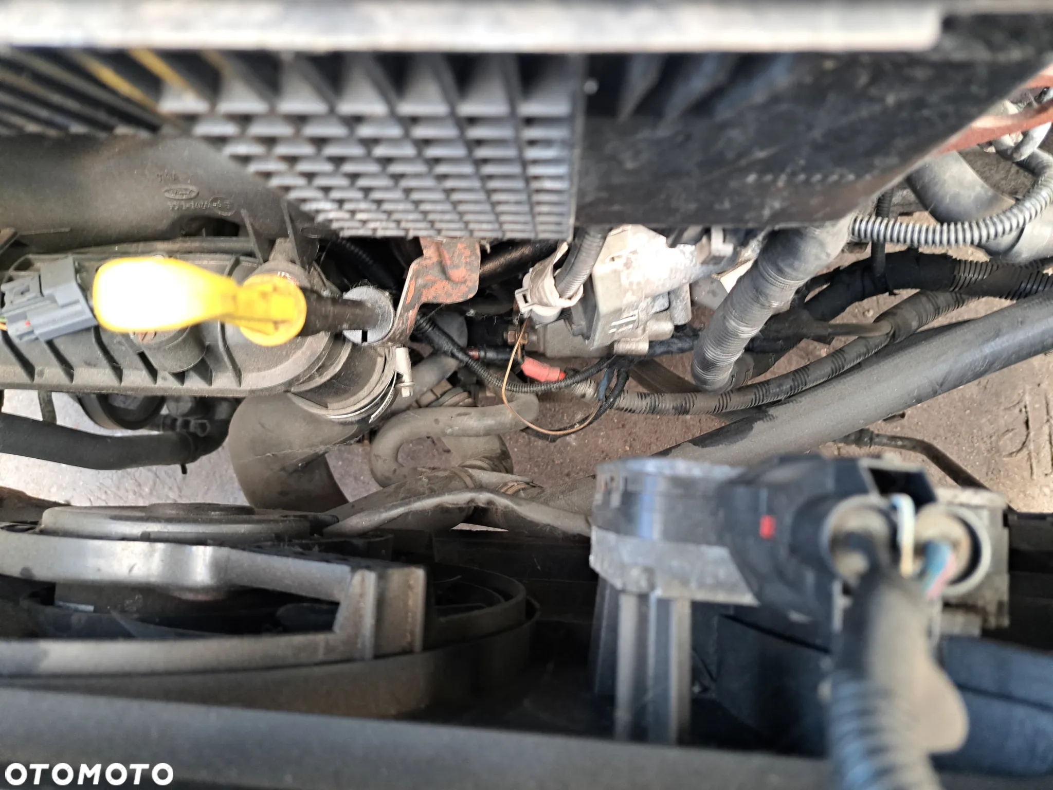 Ford Transit - 15