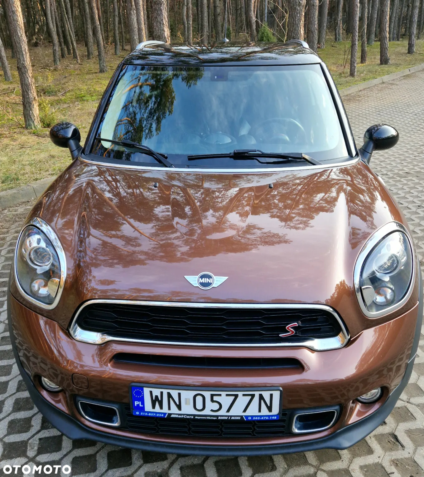 MINI Paceman - 6
