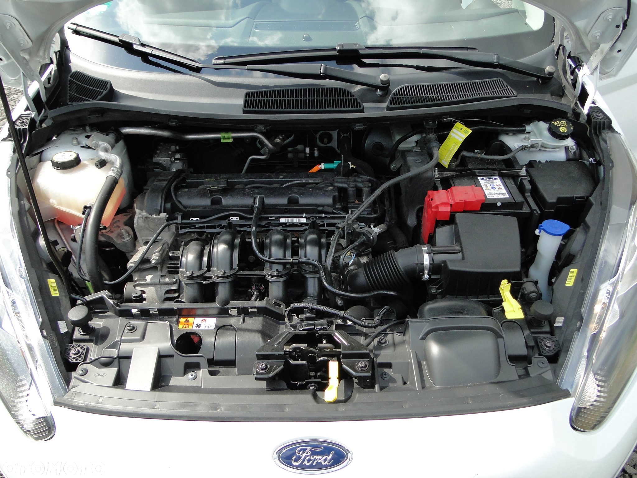 Ford Fiesta 1.25 Celebration - 30
