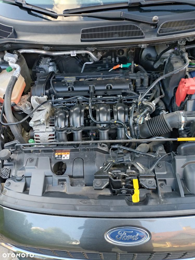 Ford Fiesta - 19
