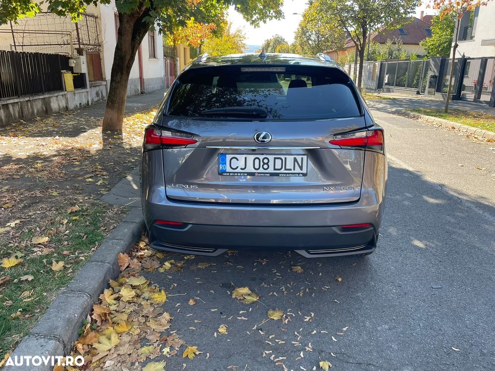 Lexus Seria NX - 14