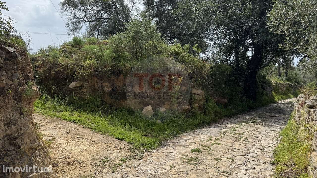 Terreno Rustico - Grande imagem: 2/11