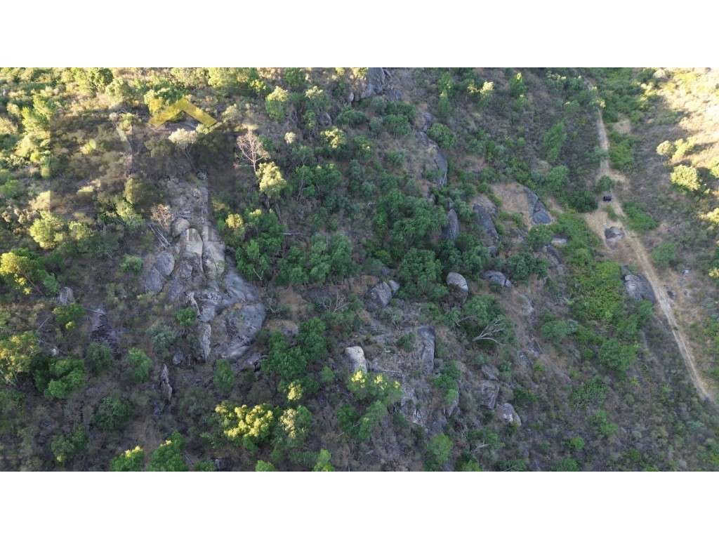 Terreno rústico com 5.750m2, para venda, na freguesia de Caféde. - Grande imagem: 4/6