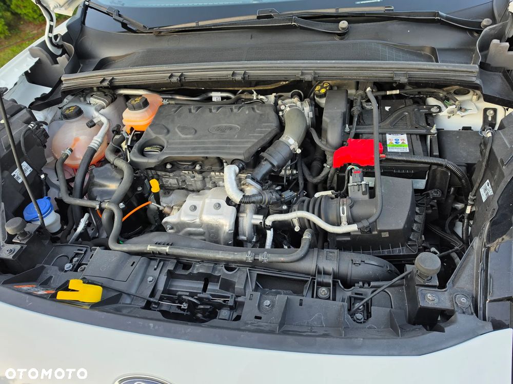 Ford Puma - 8