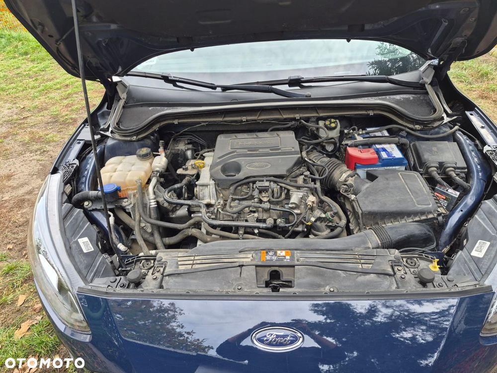 Ford Focus - 11