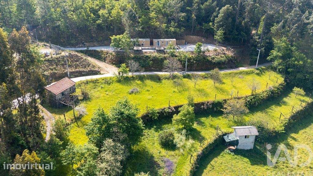 Quinta rural T3 em Souselo de 11071 m2 - Grande imagem: 4/39
