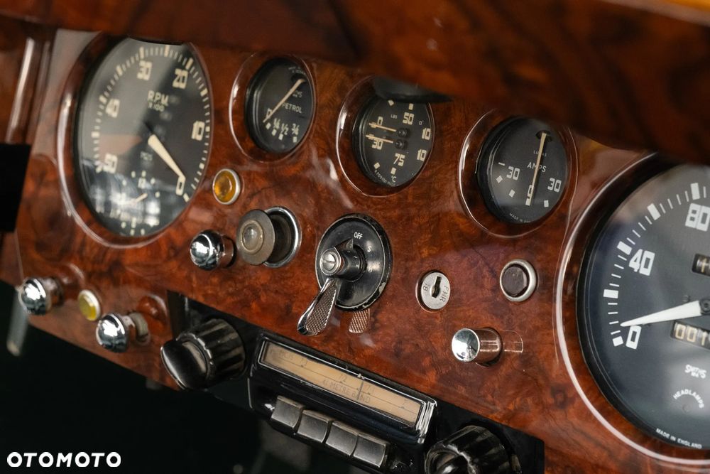 Jaguar Inny - 23