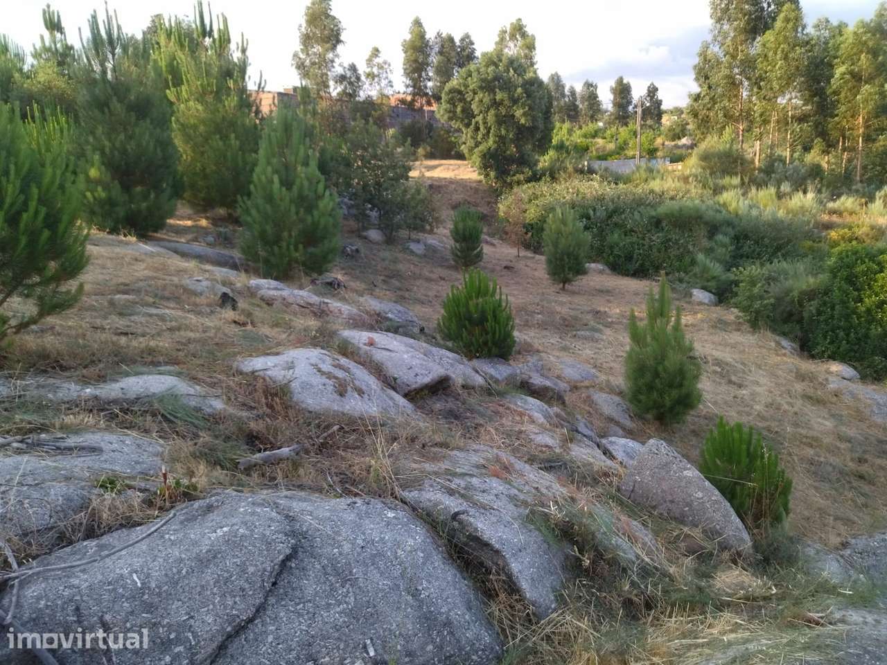 Terreno Para Construção  Venda em Lagares,Oliveira do Hospital - Grande imagem: 4/5