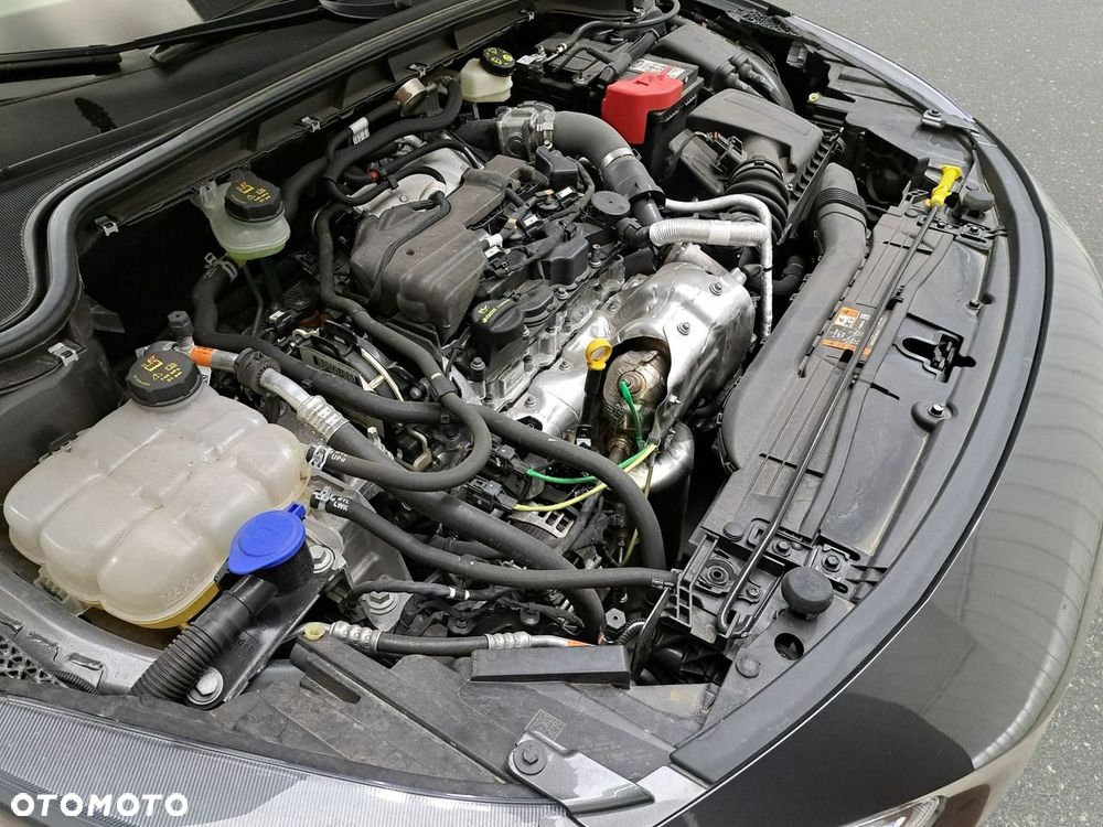 Ford Focus - 14