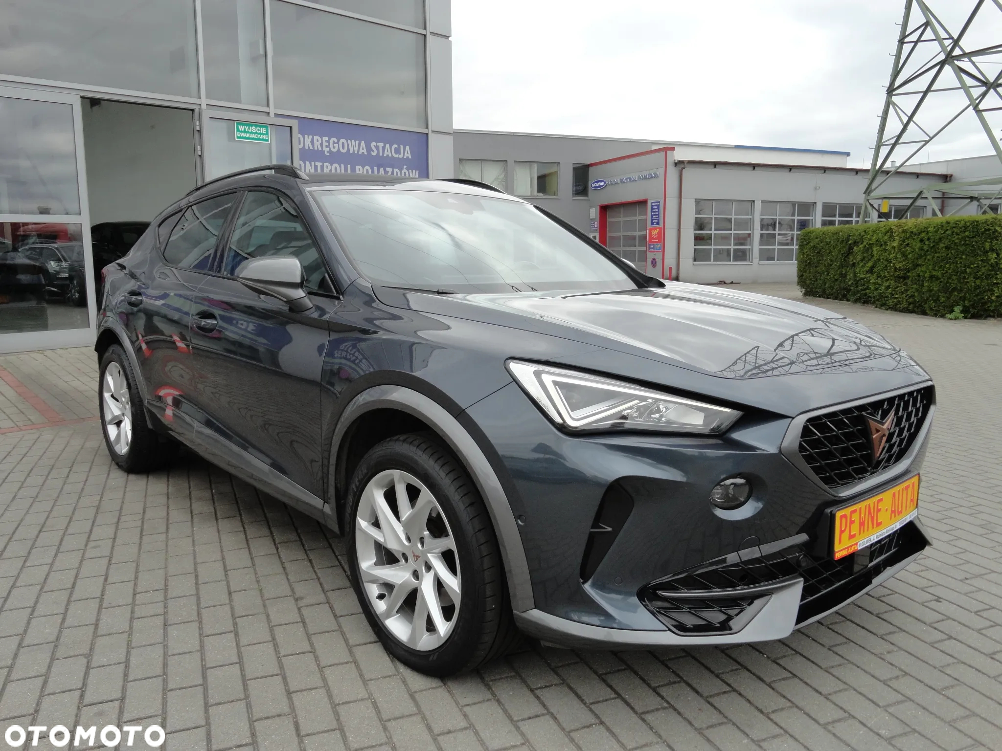 Cupra Formentor 1.5 TSI DSG Tribe Edition - 4