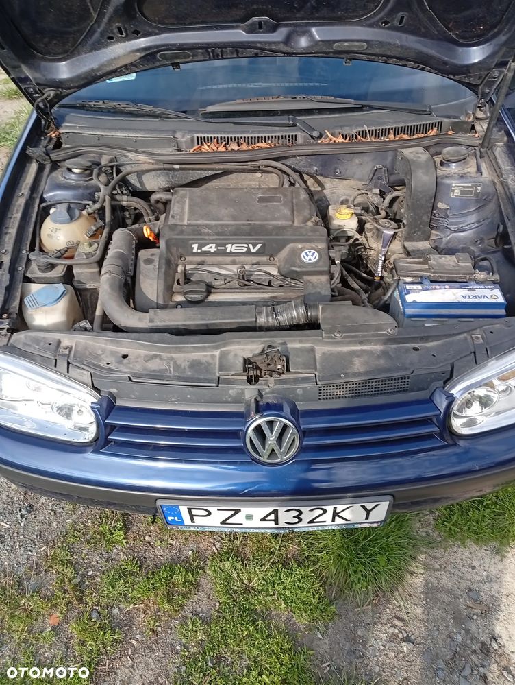 Volkswagen Golf - 5