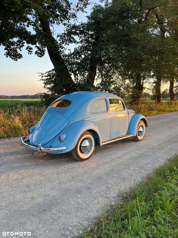 Volkswagen Garbus - 11