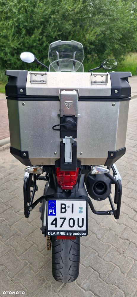 Triumph Tiger - 19